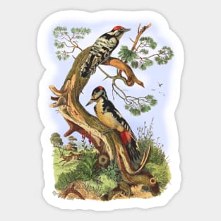 WOODPECKERS Sticker